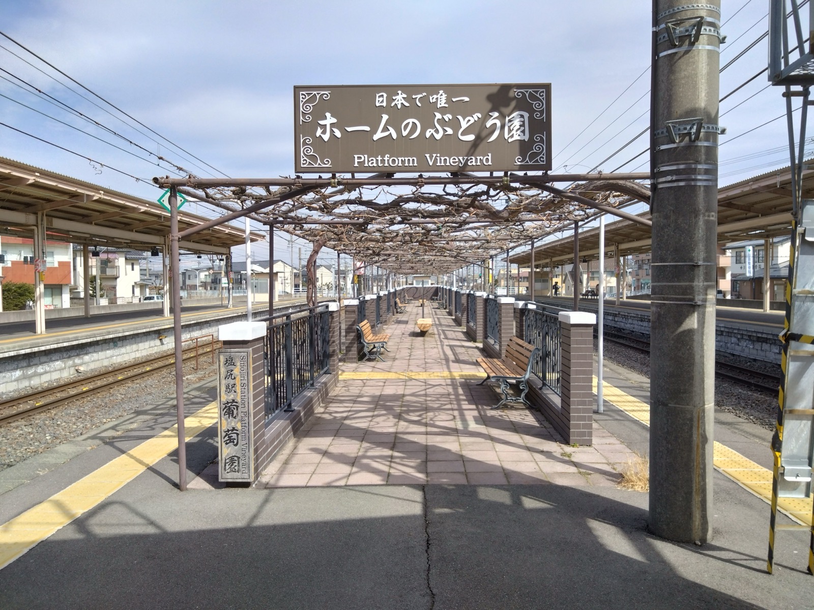 塩尻駅ホームのぶどう畑